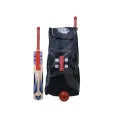 Professional Cricket Kit For Adults Gry Necols Pack of 10- (Hard Ball Cricket Bat + Hard Ball + Gloves + Cricket Kit Bag + Helmet + Under Guard + Leg Pads + Elbow Pads + Thigh Pads)